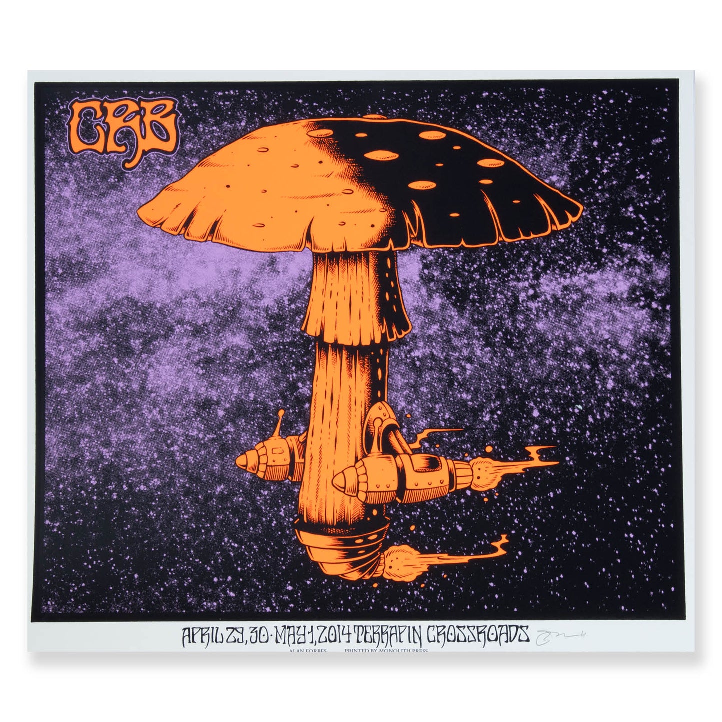 CRB Show Poster Terrapin Crossroads 2014 D6